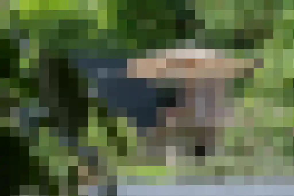 Laan van Nieuw-Oost-Indië 1 E Den Haag thumbnail 21