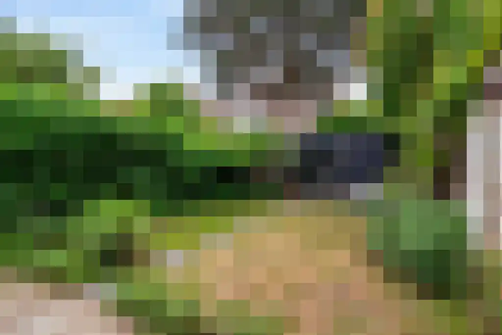 Laan van Nieuw-Oost-Indië 1 E Den Haag thumbnail 22