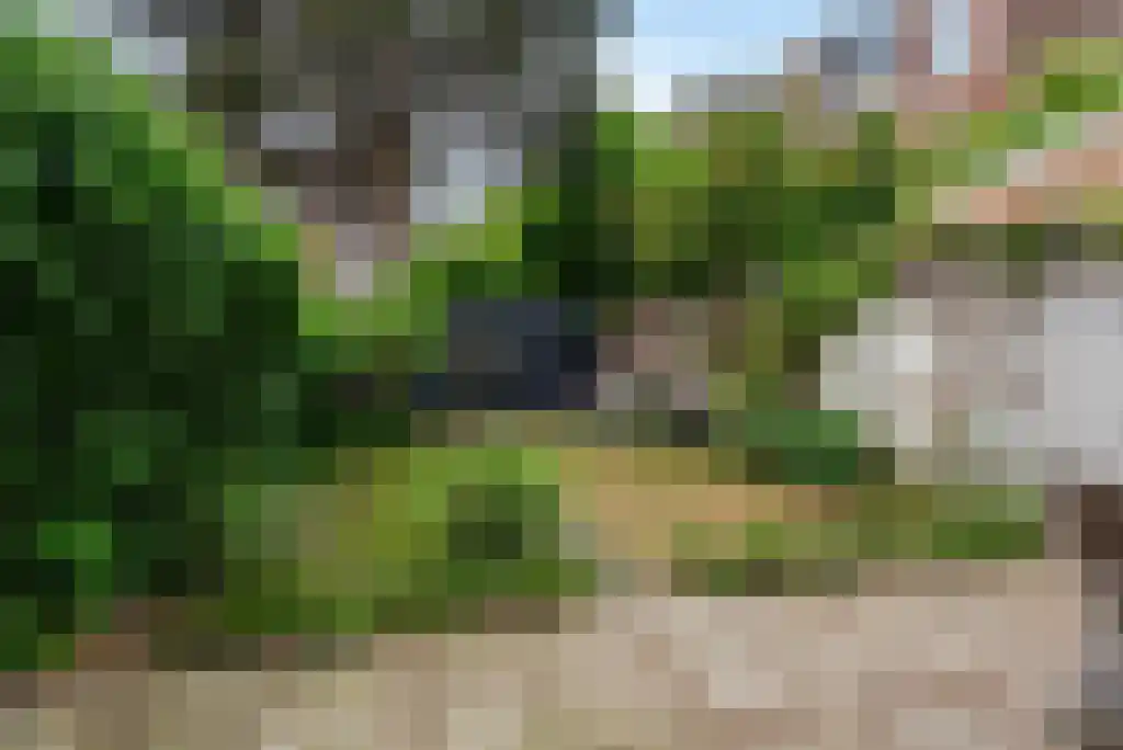 Laan van Nieuw-Oost-Indië 1 E Den Haag thumbnail 23