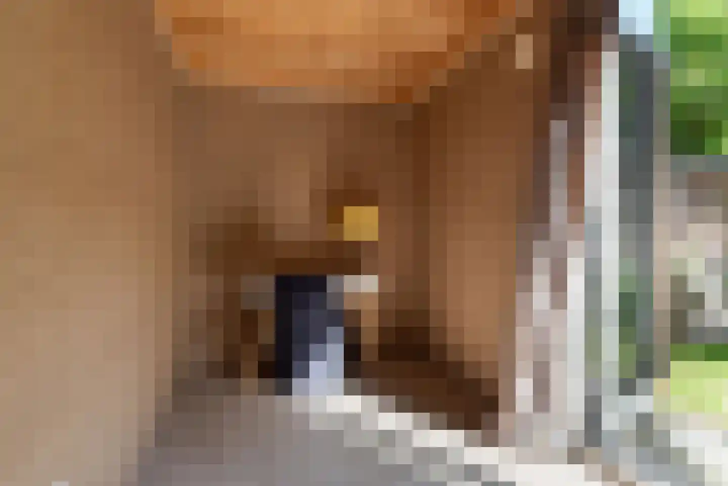Laan van Nieuw-Oost-Indië 1 F Den Haag thumbnail 26