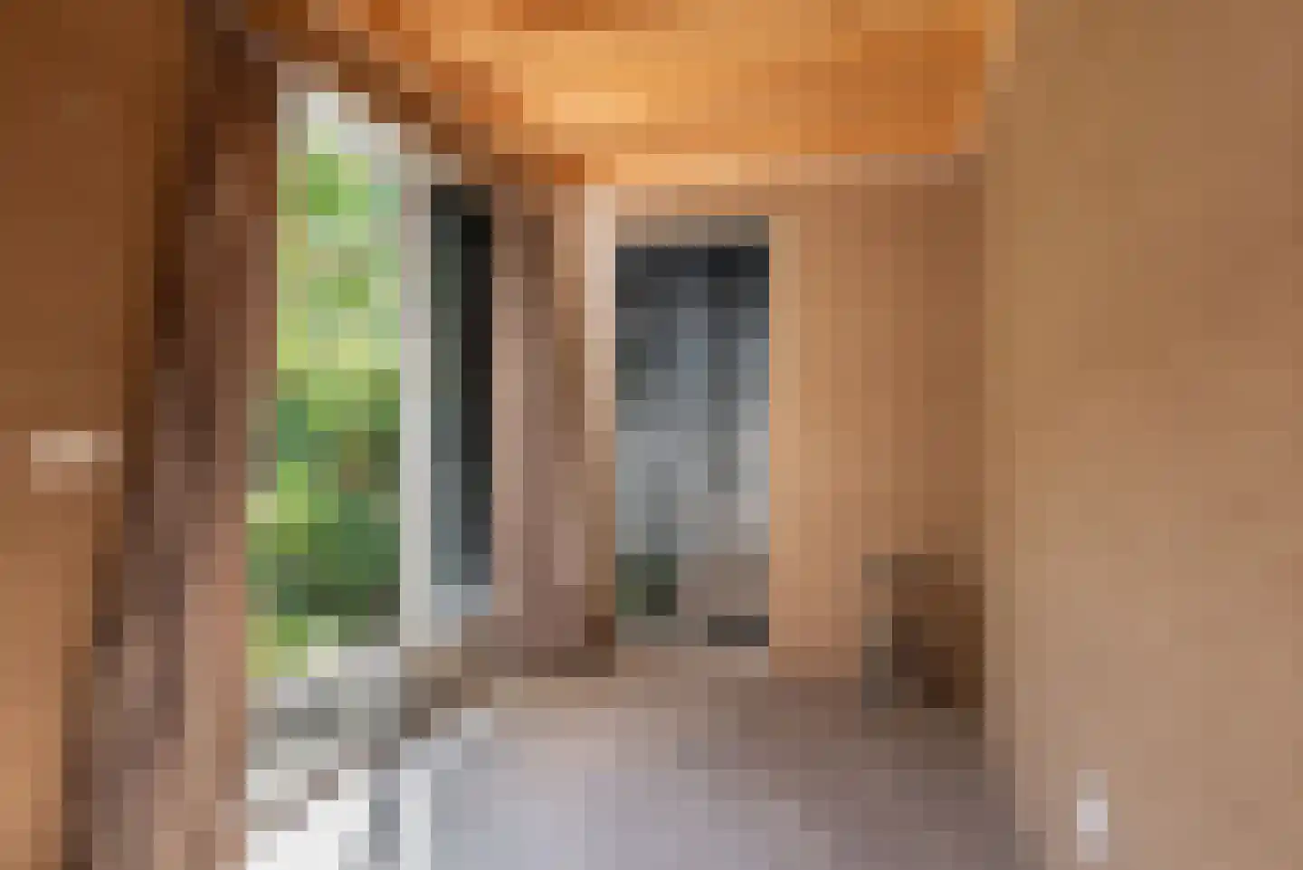 Laan van Nieuw-Oost-Indië 1 F Den Haag thumbnail 27
