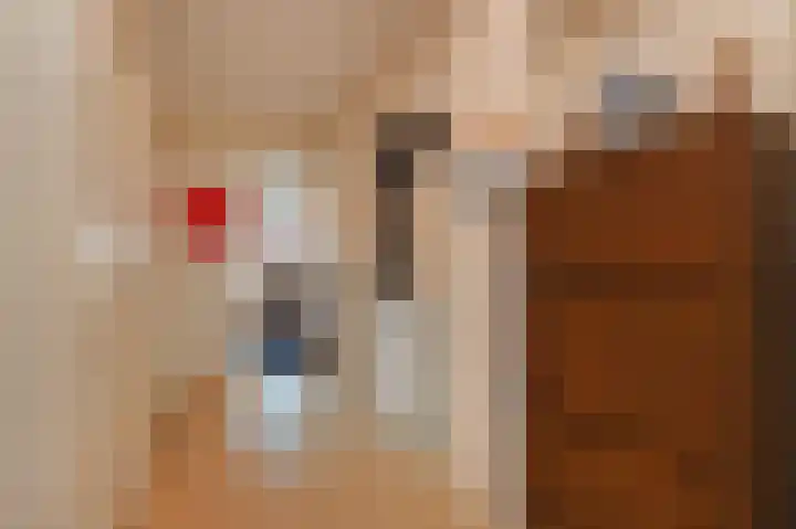 Laan van Nieuw-Oost-Indië 100 C Den Haag thumbnail 11