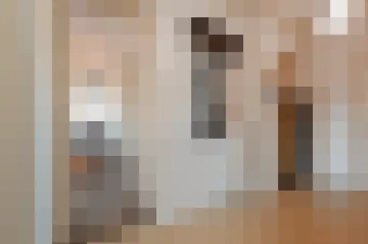 Laan van Nieuw-Oost-Indië 100 C Den Haag thumbnail 12
