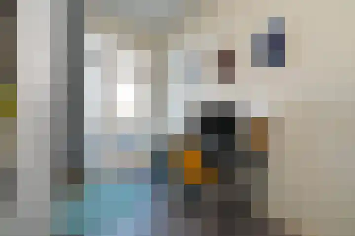 Laan van Nieuw-Oost-Indië 100 C Den Haag thumbnail 24