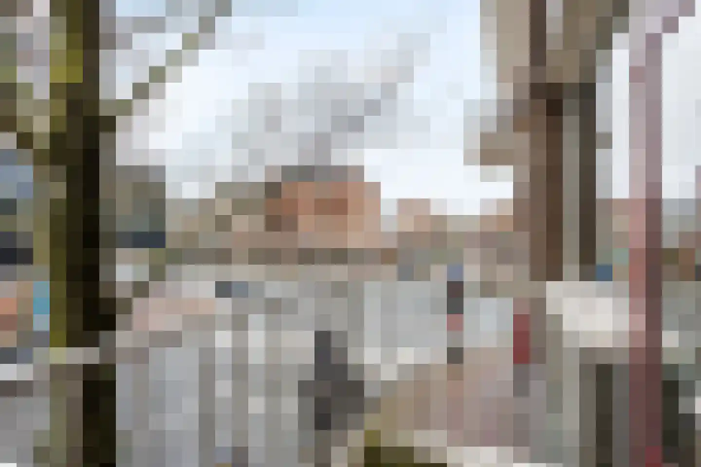 Laan van Nieuw-Oost-Indië 117 Den Haag thumbnail 18