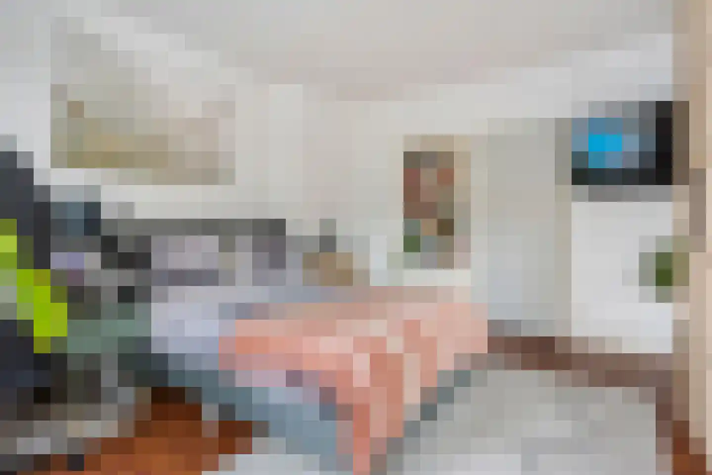 Laan van Nieuw-Oost-Indië 117 Den Haag thumbnail 30
