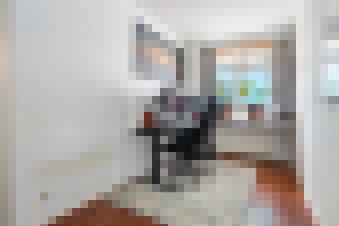 Laan van Nieuw-Oost-Indië 117 Den Haag thumbnail 32