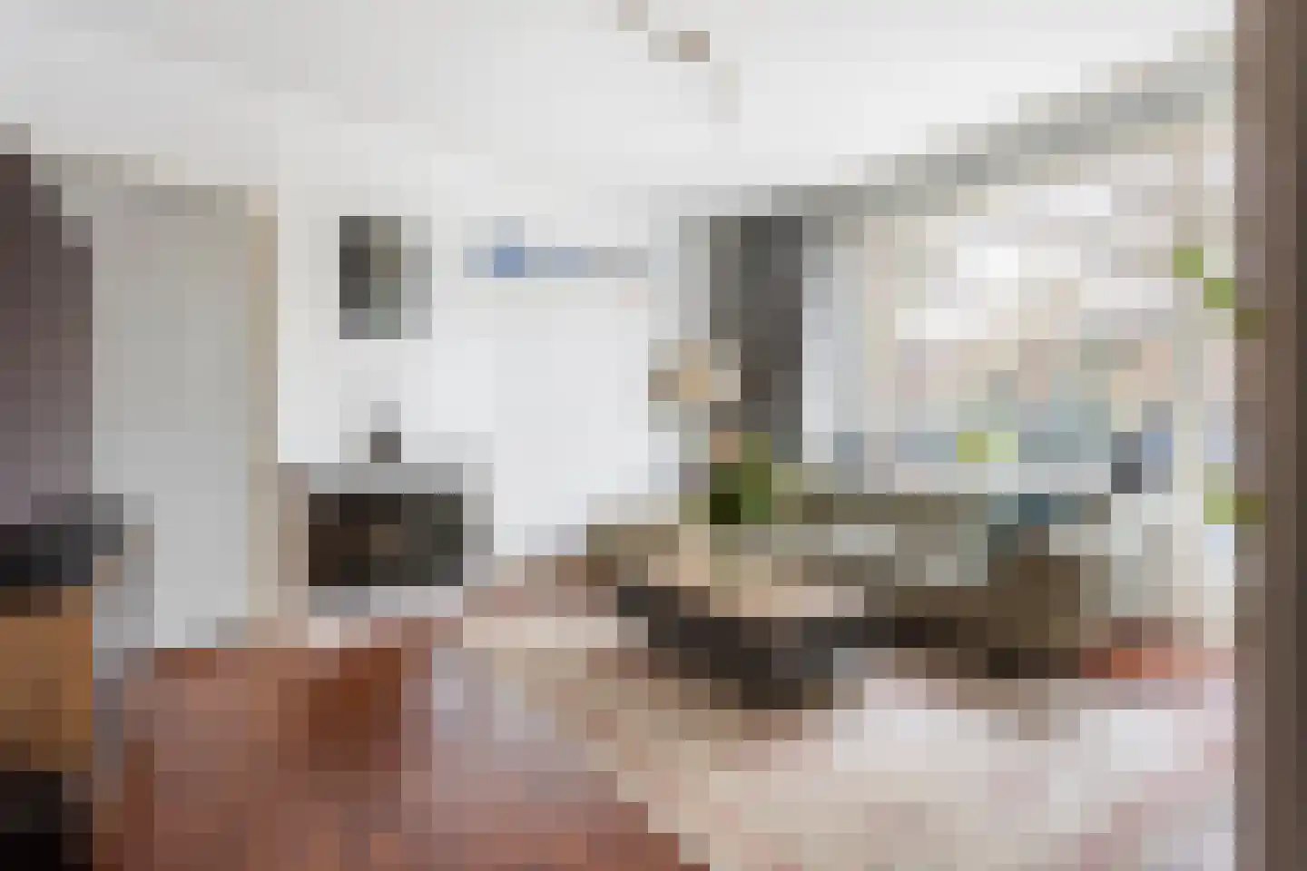 Laan van Nieuw-Oost-Indië 117 Den Haag thumbnail 4