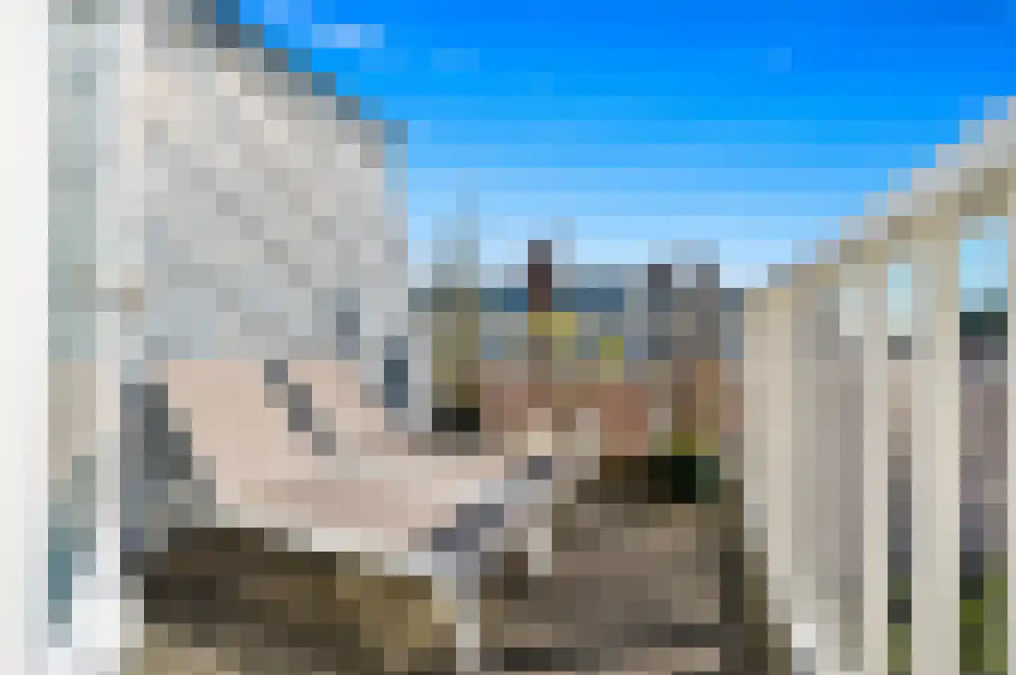 Laan van Nieuw-Oost-Indië 162 A Den Haag thumbnail 39