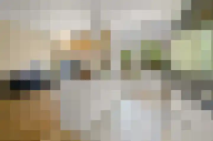 Laan van Nieuw-Oost-Indië 166 Den Haag thumbnail 15
