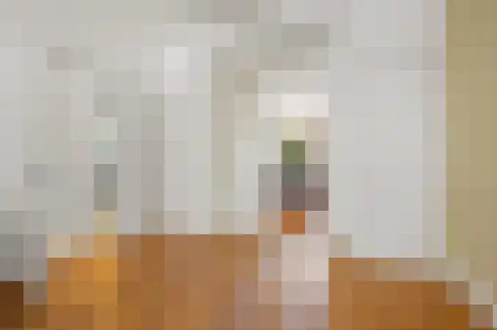 Laan van Nieuw-Oost-Indië 166 Den Haag thumbnail 18