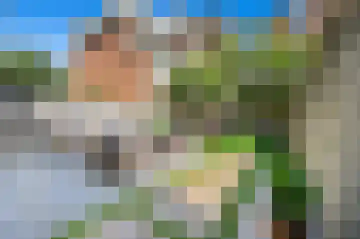 Laan van Nieuw-Oost-Indië 166 Den Haag thumbnail 23
