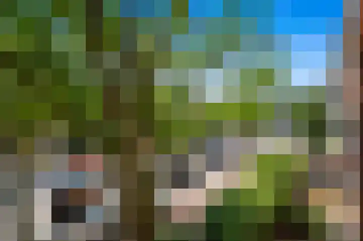 Laan van Nieuw-Oost-Indië 166 Den Haag thumbnail 39