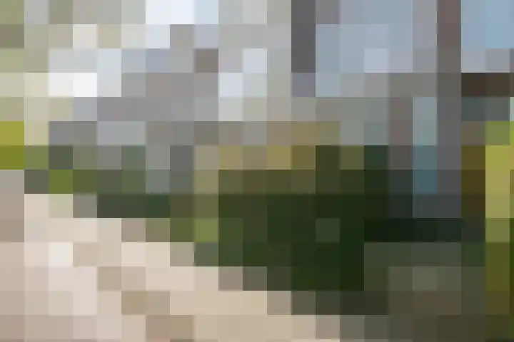 Laan van Nieuw-Oost-Indië 207 a Den Haag thumbnail 18