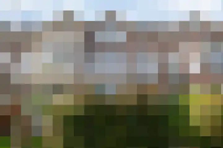Laan van Nieuw-Oost-Indië 207 a Den Haag thumbnail 19