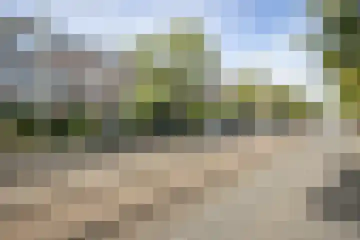 Laan van Nieuw-Oost-Indië 207 a Den Haag thumbnail 20