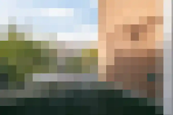 Laan van Nieuw-Oost-Indië 207 a Den Haag thumbnail 4