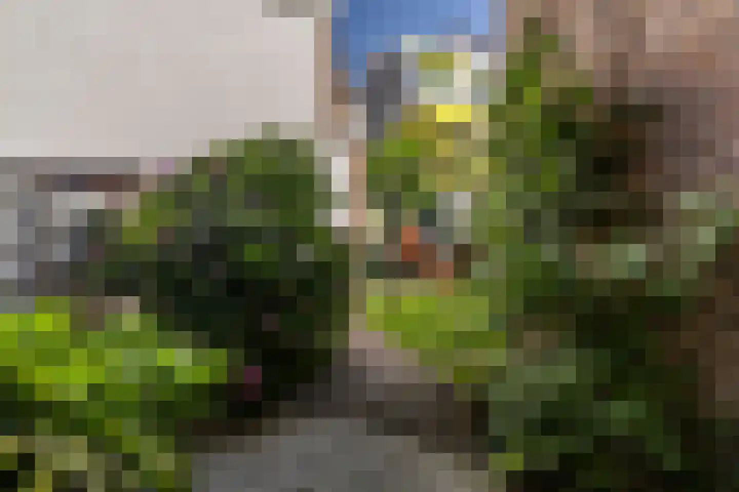 Laan van Nieuw-Oost-Indië 214 Den Haag thumbnail 25
