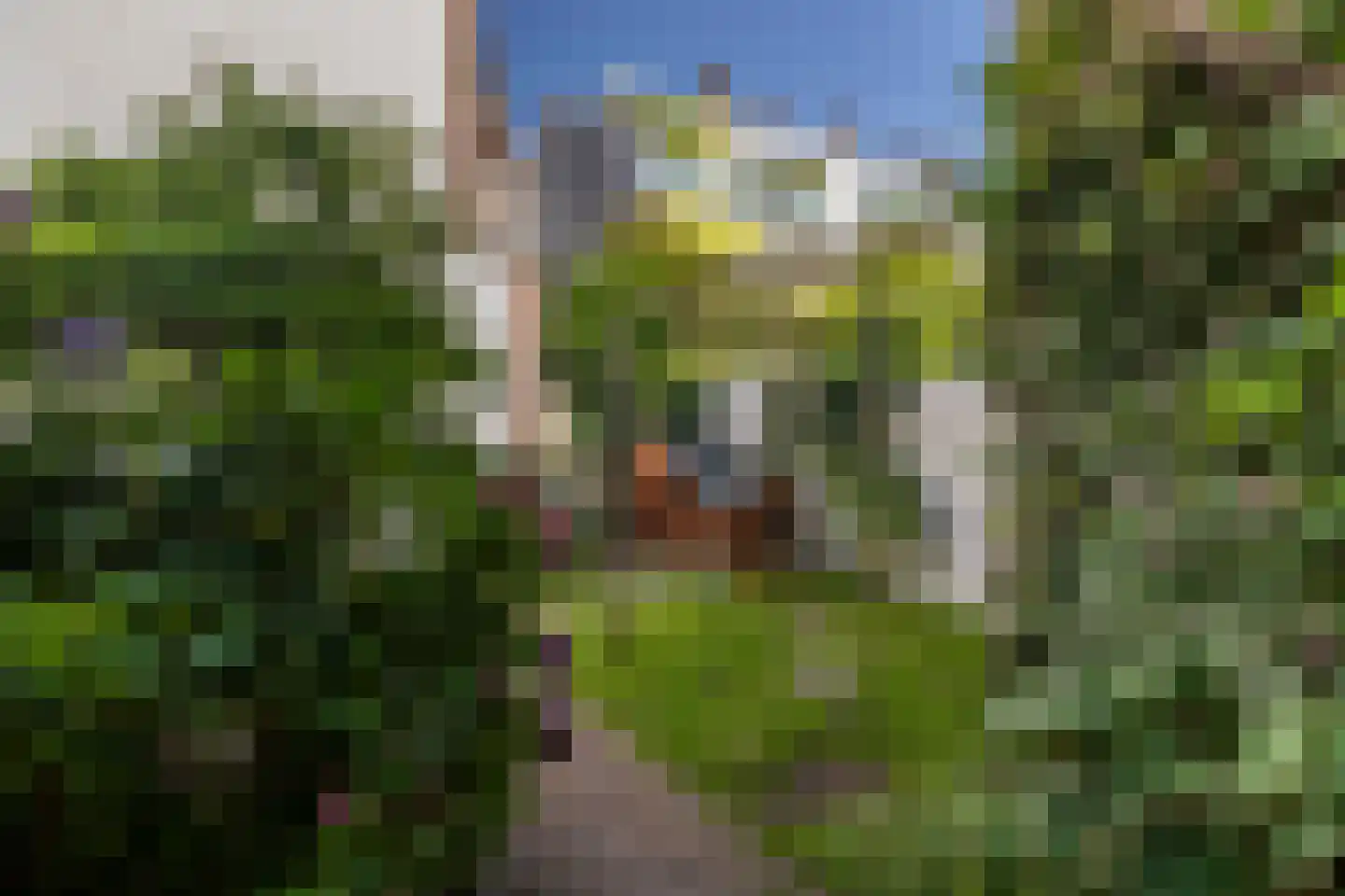 Laan van Nieuw-Oost-Indië 214 Den Haag thumbnail 4