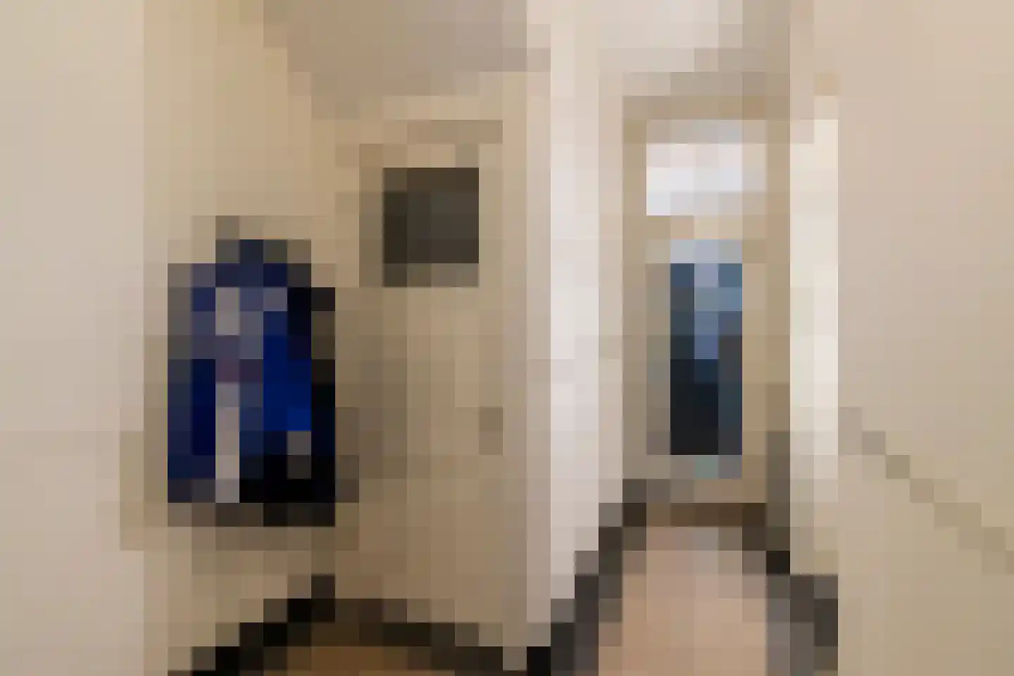 Laan van Nieuw-Oost-Indië 214 Den Haag thumbnail 42