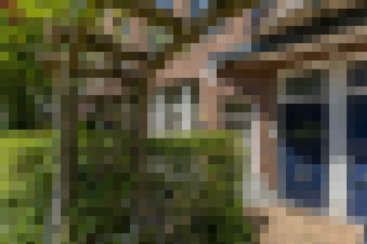 Laan van Nieuw-Oost-Indië 214 Den Haag thumbnail 6