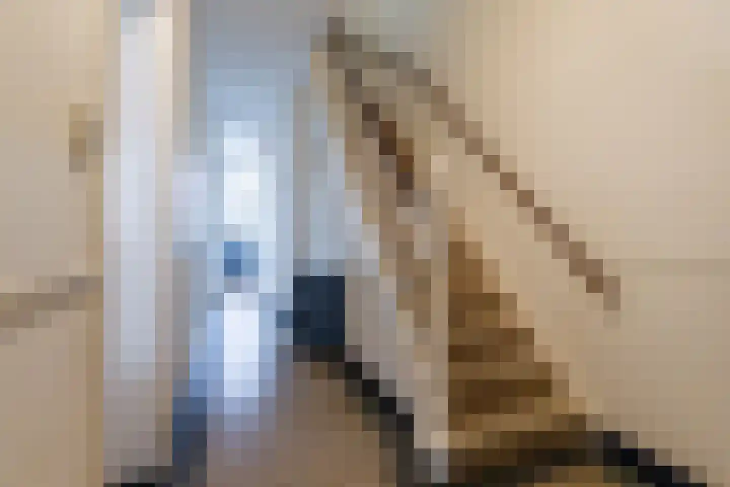 Laan van Nieuw-Oost-Indië 214 Den Haag thumbnail 8