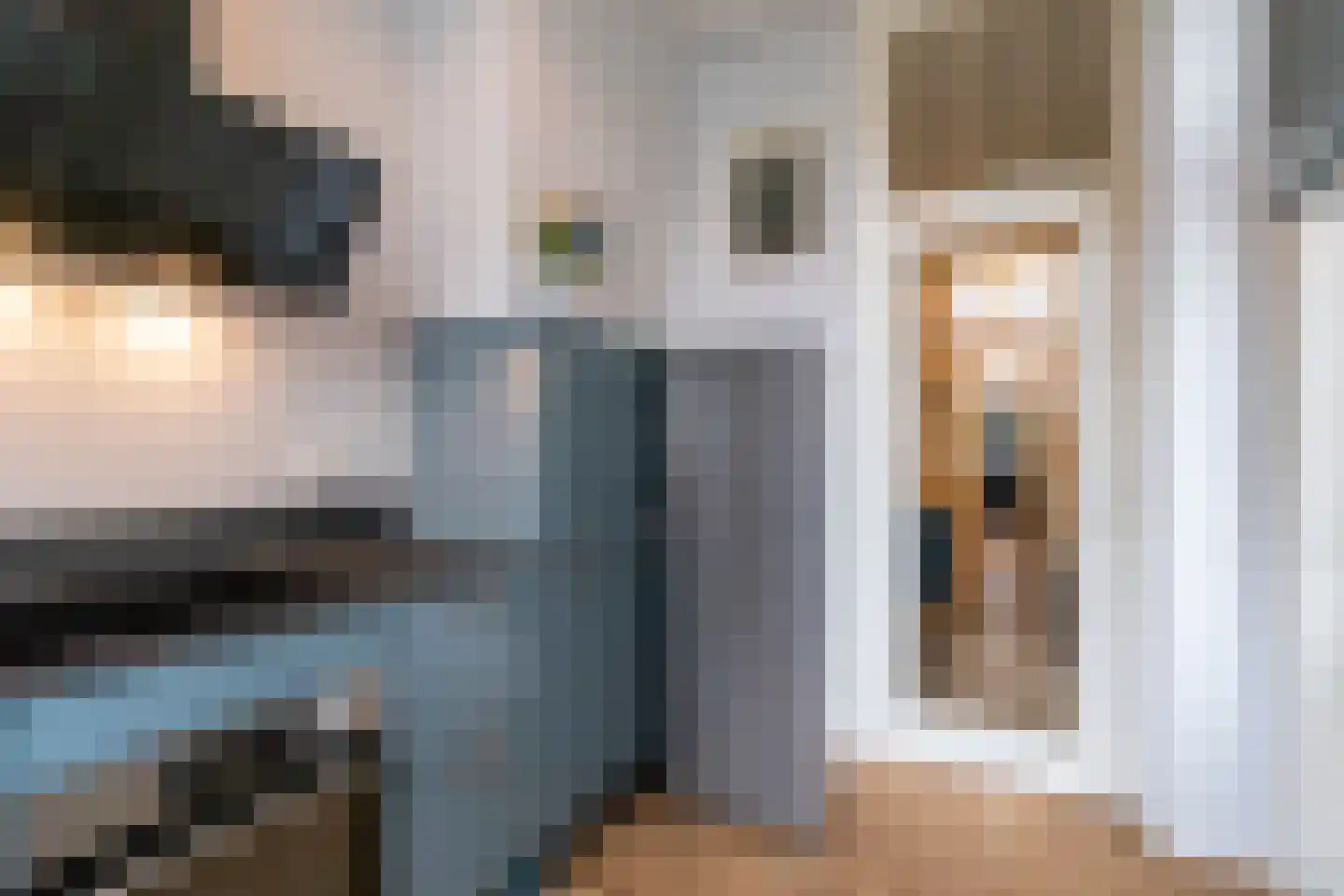 Laan van Nieuw-Oost-Indië 214 Den Haag thumbnail 9