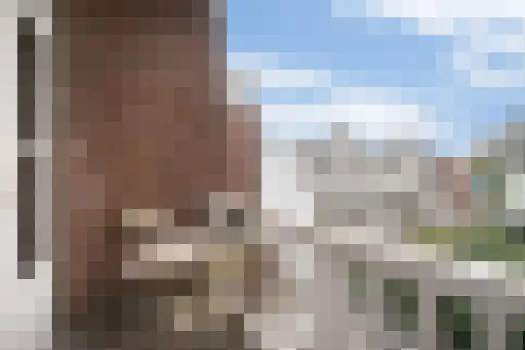 Laan van Nieuw-Oost-Indië 224 Den Haag thumbnail 20