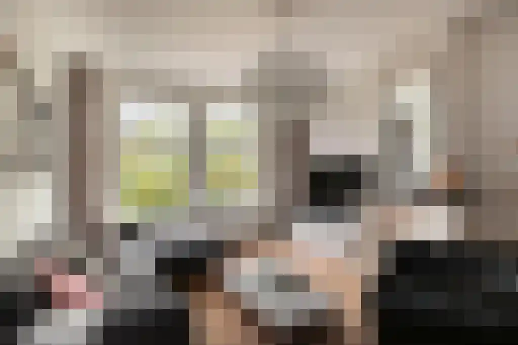Laan van Nieuw-Oost-Indië 224 Den Haag thumbnail 6