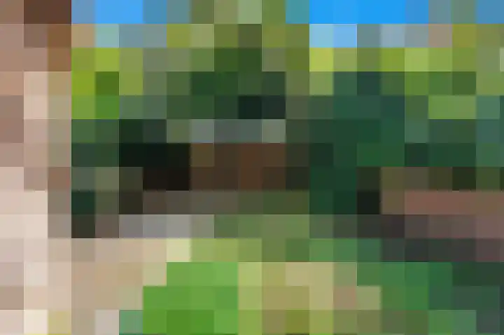 Laan van Nieuw-Oost-Indië 238 Den Haag thumbnail 18
