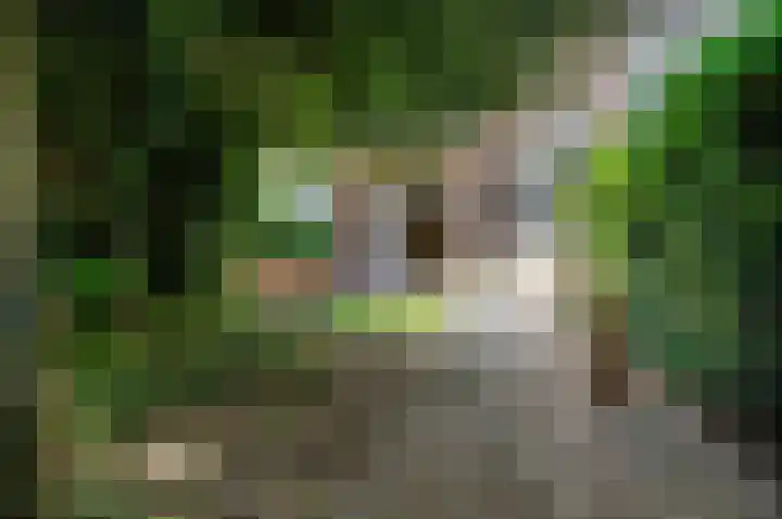 Laan van Nieuw-Oost-Indië 238 Den Haag thumbnail 19