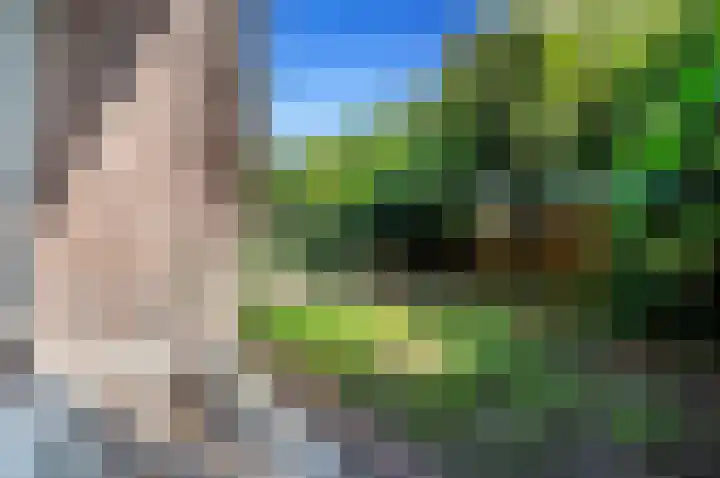 Laan van Nieuw-Oost-Indië 238 Den Haag thumbnail 20