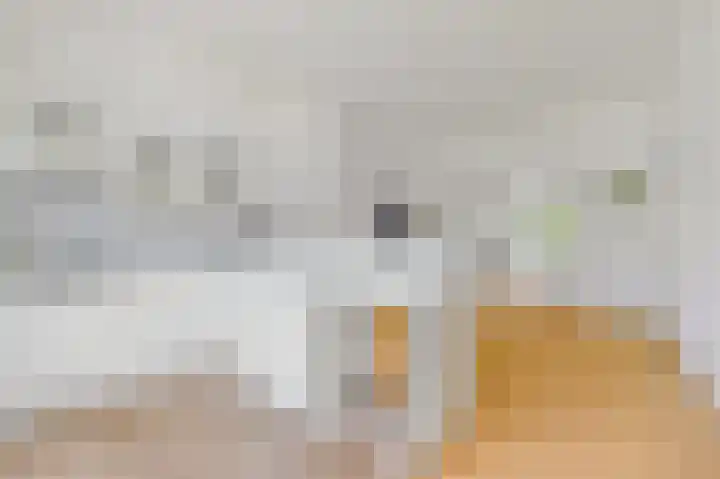 Laan van Nieuw-Oost-Indië 238 Den Haag thumbnail 34