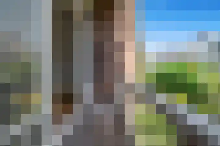 Laan van Nieuw-Oost-Indië 238 Den Haag thumbnail 38