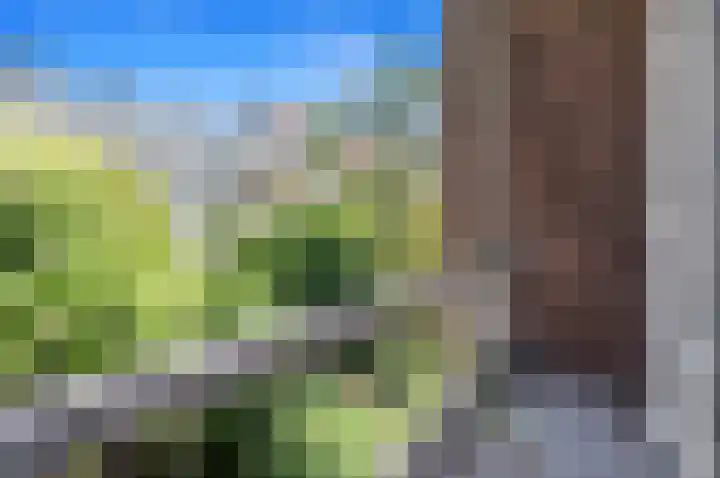 Laan van Nieuw-Oost-Indië 238 Den Haag thumbnail 39