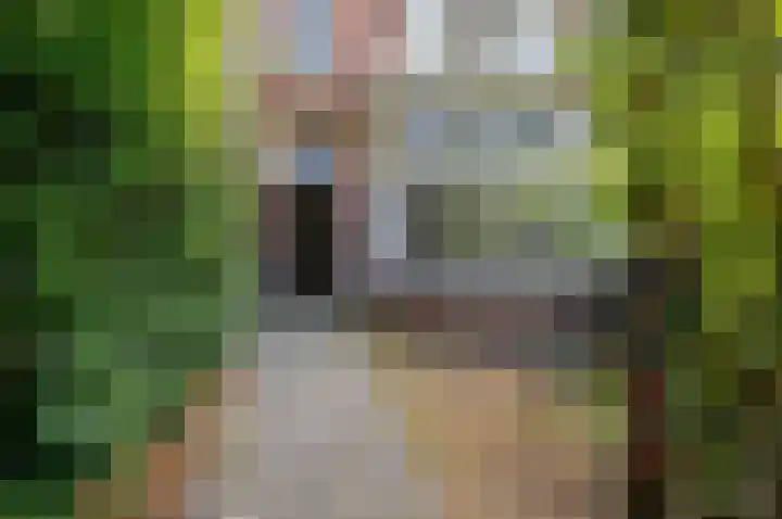 Laan van Nieuw-Oost-Indië 238 Den Haag thumbnail 7