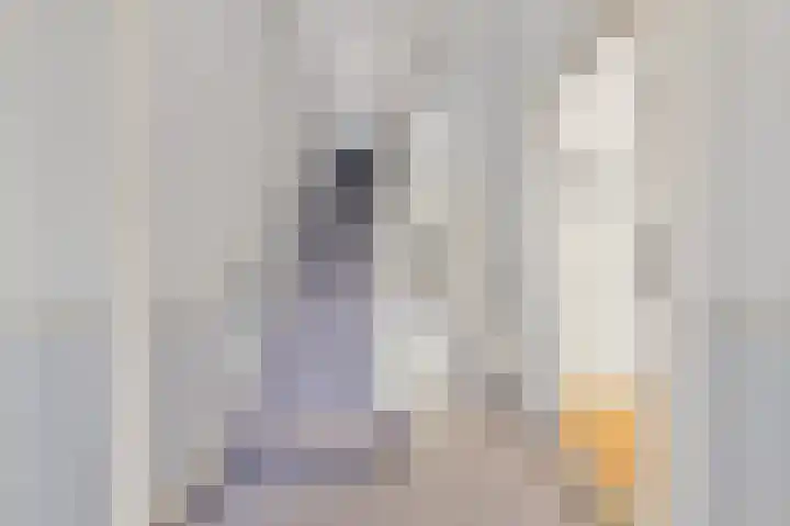 Laan van Nieuw-Oost-Indië 238 Den Haag thumbnail 9