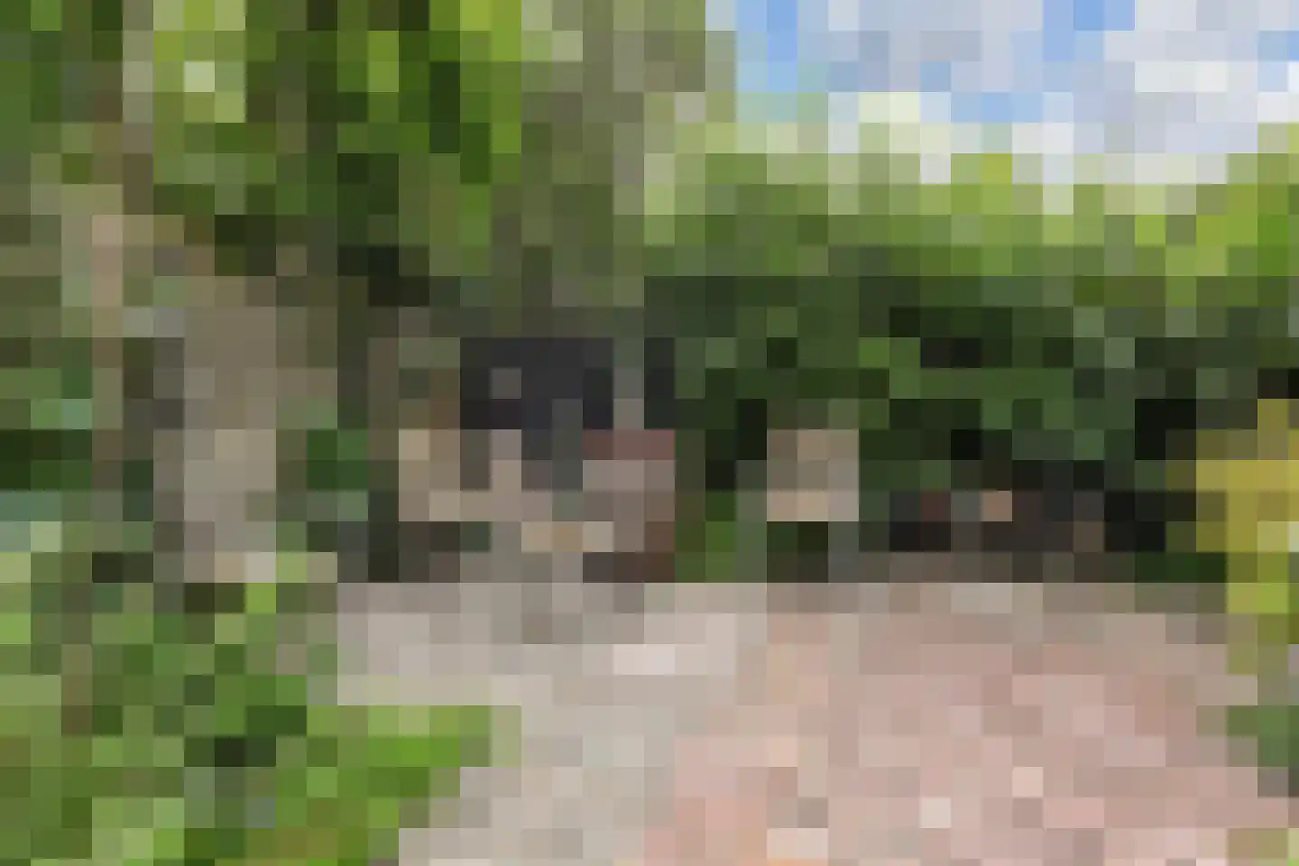 Laan van Nieuw-Oost-Indië 265 Den Haag thumbnail 12