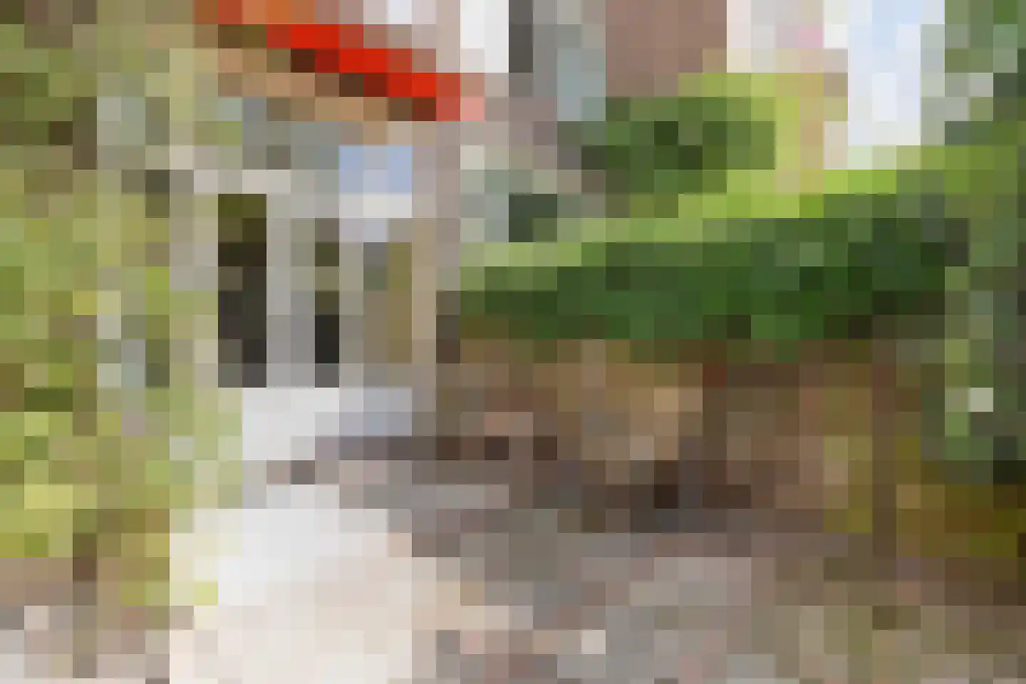 Laan van Nieuw-Oost-Indië 265 Den Haag thumbnail 15