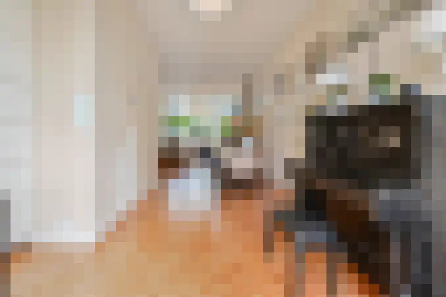 Laan van Nieuw-Oost-Indië 265 Den Haag thumbnail 16