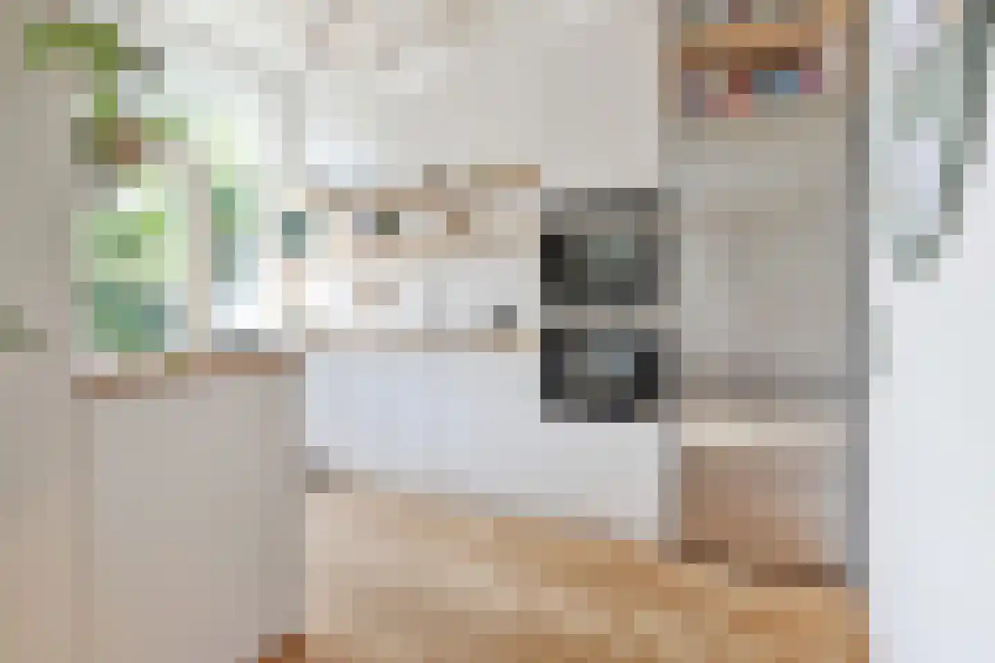 Laan van Nieuw-Oost-Indië 265 Den Haag thumbnail 18