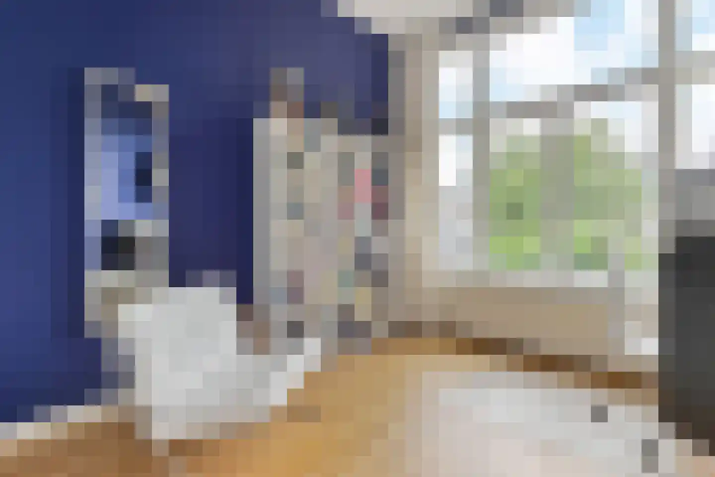 Laan van Nieuw-Oost-Indië 265 Den Haag thumbnail 31