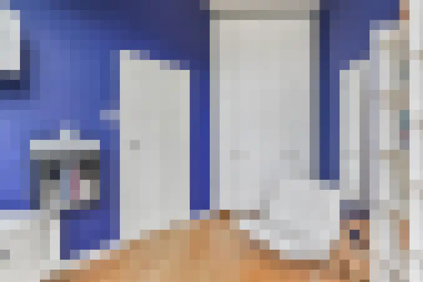 Laan van Nieuw-Oost-Indië 265 Den Haag thumbnail 33