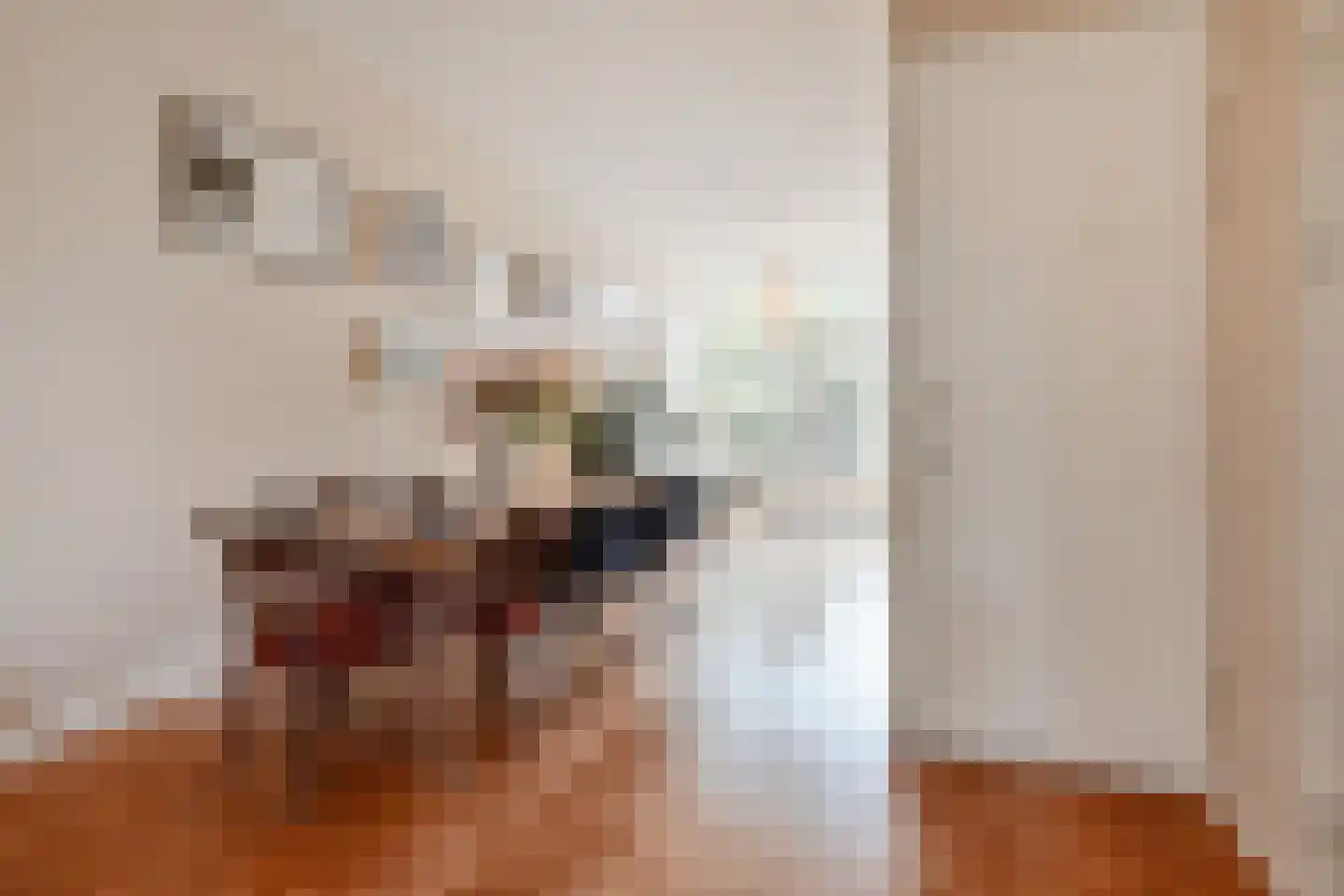 Laan van Nieuw-Oost-Indië 265 Den Haag thumbnail 7