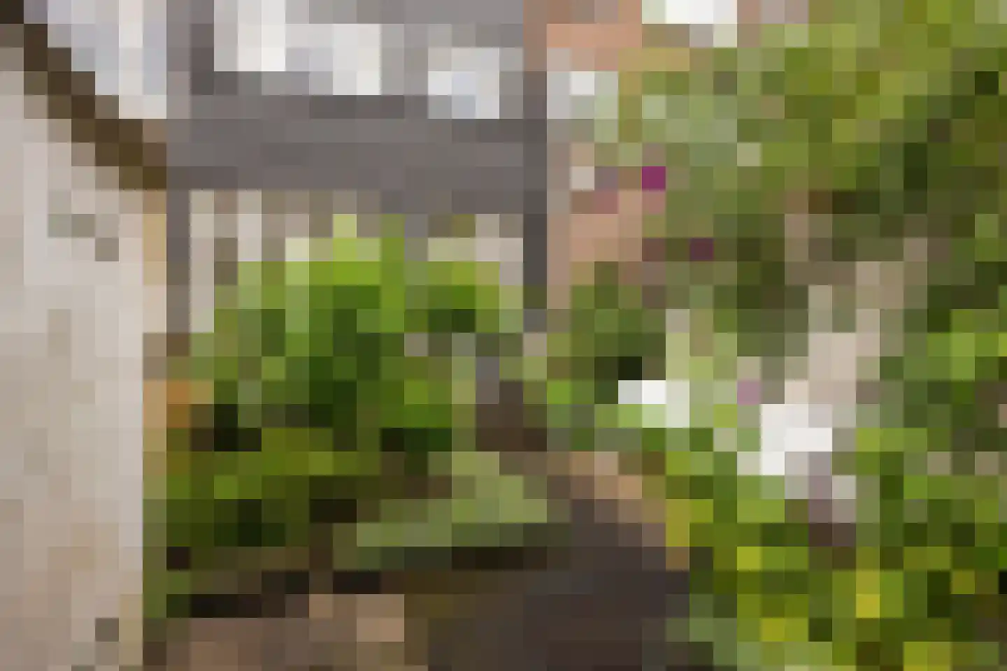 Laan van Nieuw-Oost-Indië 274 Den Haag thumbnail 24
