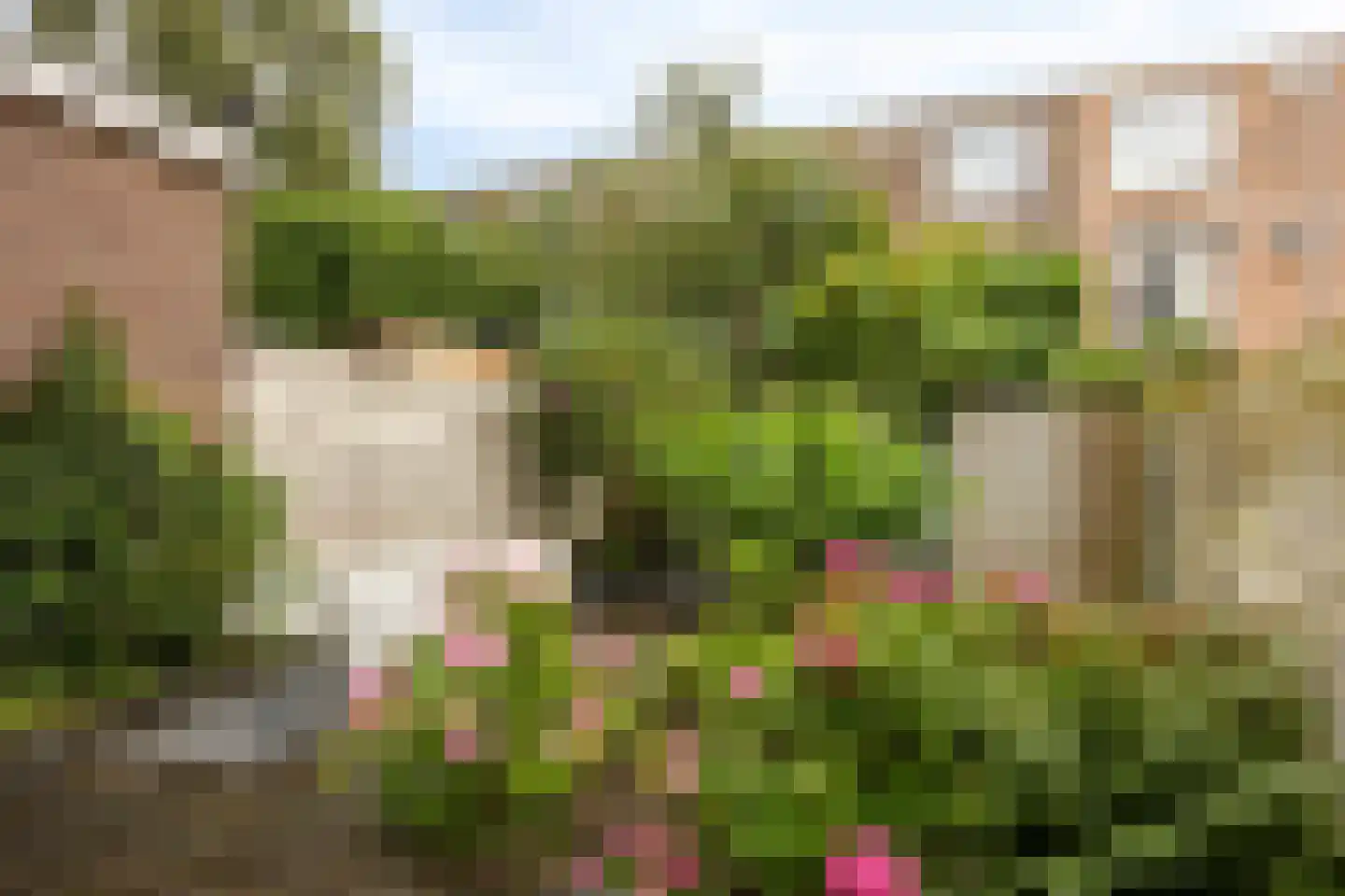 Laan van Nieuw-Oost-Indië 274 Den Haag thumbnail 26