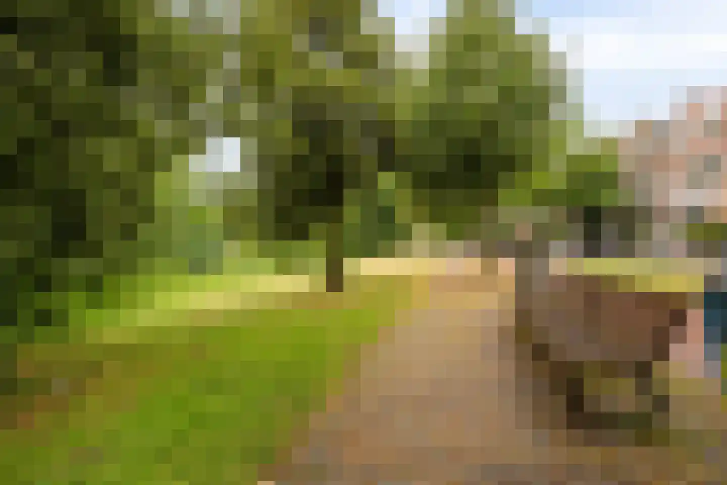 Laan van Nieuw-Oost-Indië 274 Den Haag thumbnail 34