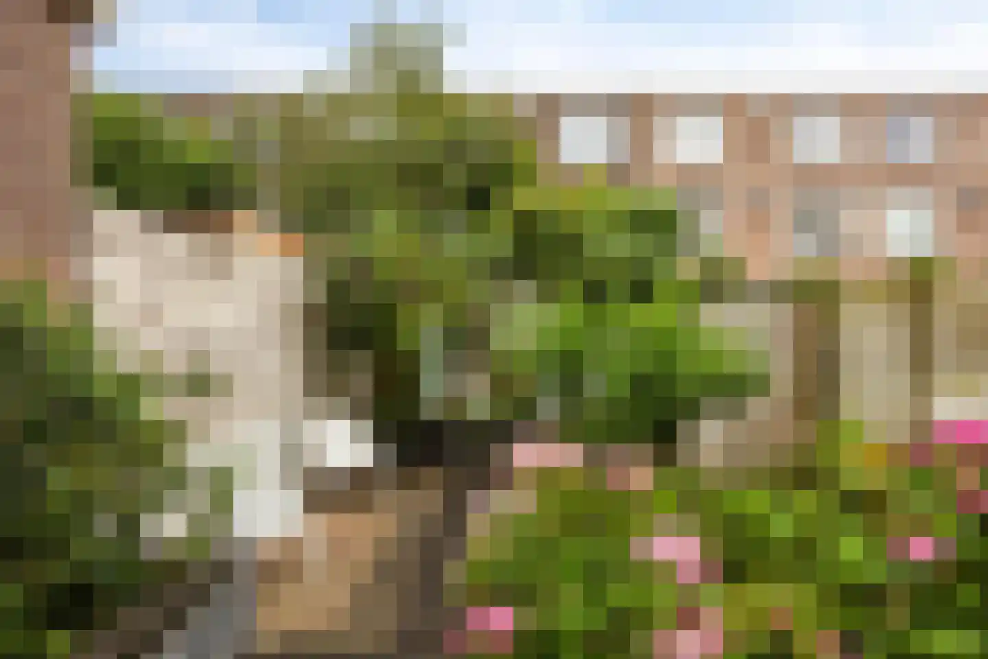 Laan van Nieuw-Oost-Indië 274 Den Haag thumbnail 4
