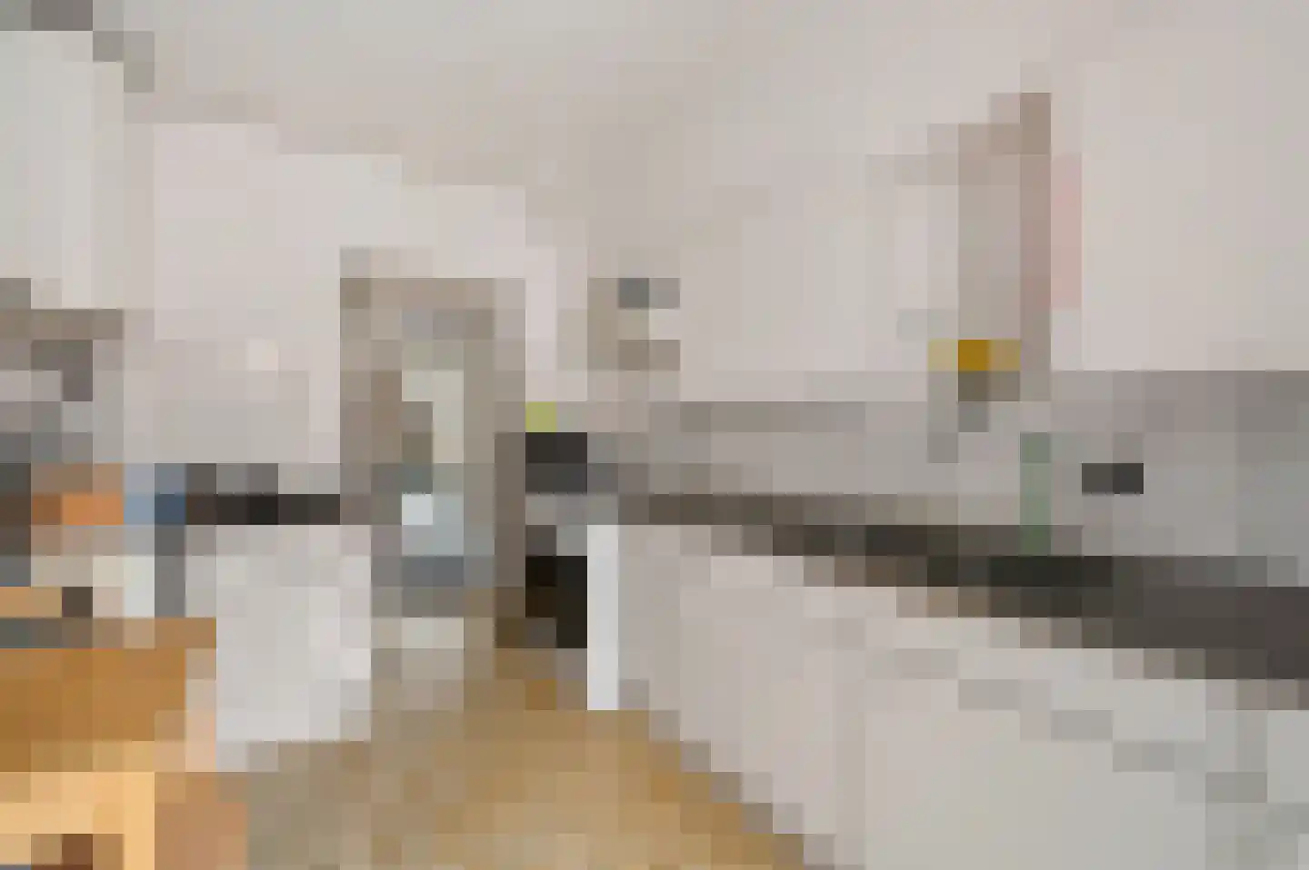 Laan van Nieuw-Oost-Indië 29 Den Haag thumbnail 12