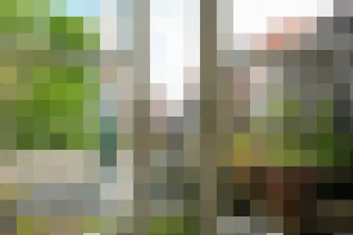 Laan van Nieuw-Oost-Indië 30 Den Haag thumbnail 33